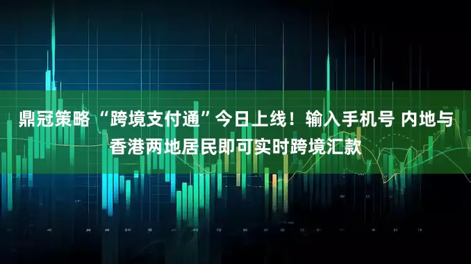 鼎冠策略 “跨境支付通”今日上线！输入手机号 内地与香港两地居民即可实时跨境汇款