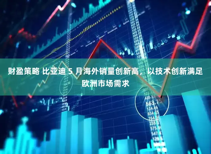 财盈策略 比亚迪 5 月海外销量创新高，以技术创新满足欧洲市场需求