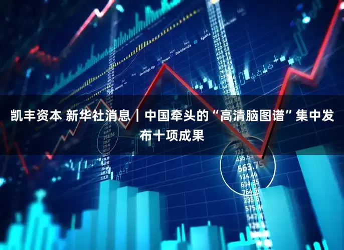 凯丰资本 新华社消息｜中国牵头的“高清脑图谱”集中发布十项成果