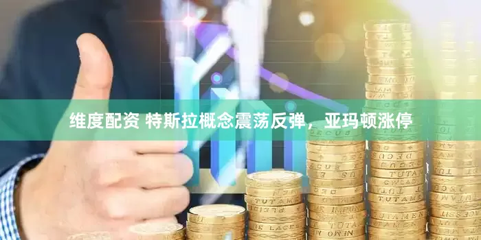 维度配资 特斯拉概念震荡反弹，亚玛顿涨停