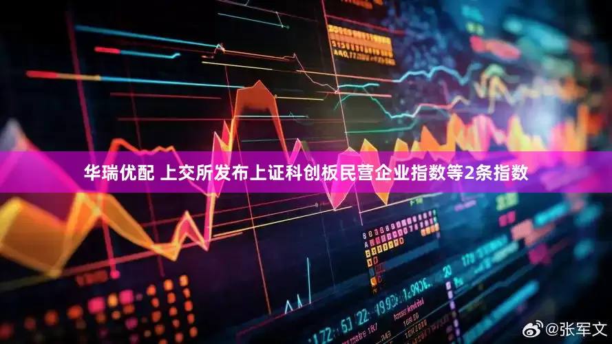 华瑞优配 上交所发布上证科创板民营企业指数等2条指数