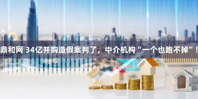 鼎和网 34亿并购造假案判了，中介机构“一个也跑不掉”！