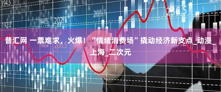 普汇网 一票难求，火爆！“情绪消费场”撬动经济新支点_动漫_上海_二次元