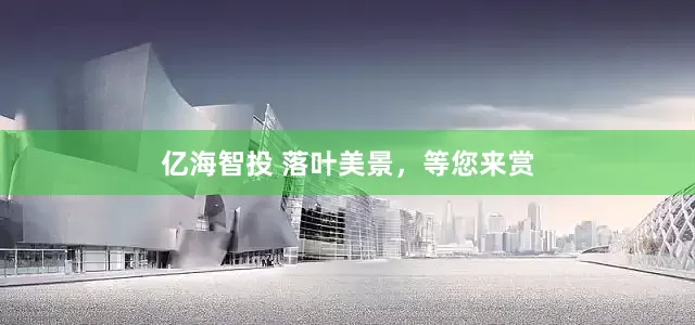 亿海智投 落叶美景，等您来赏