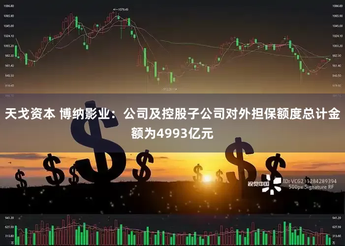 天戈资本 博纳影业：公司及控股子公司对外担保额度总计金额为4993亿元