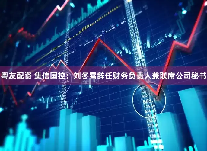 粤友配资 集信国控：刘冬雪辞任财务负责人兼联席公司秘书