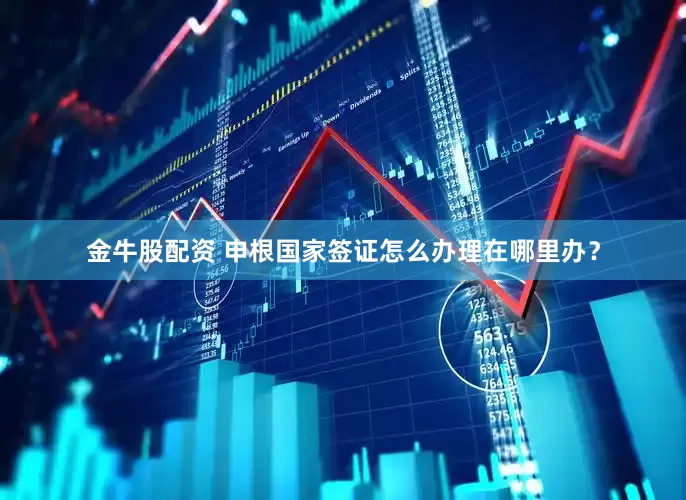金牛股配资 申根国家签证怎么办理在哪里办？