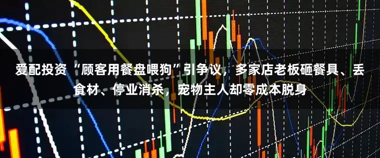 爱配投资 “顾客用餐盘喂狗”引争议，多家店老板砸餐具、丢食材、停业消杀，宠物主人却零成本脱身